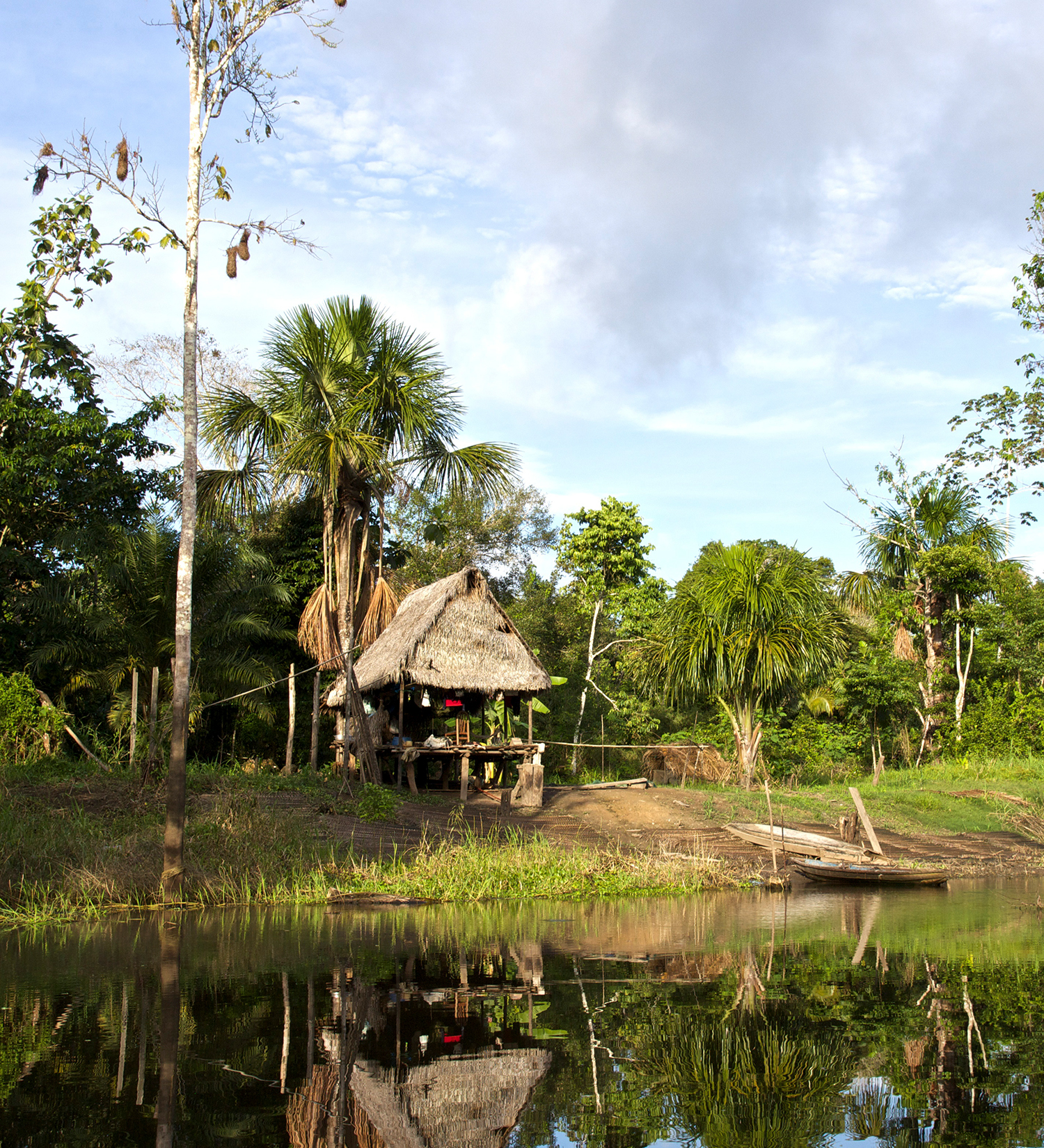 Amazon to the Andes_300x330.jpg