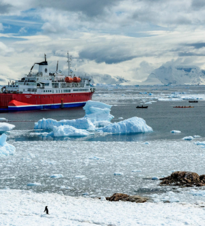 Antarctica-300x330.png