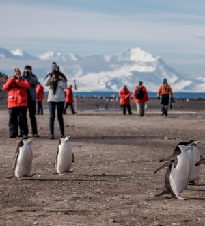 Antarctica-NL.png
