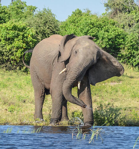 Botswana & Victoria Falls Adventure