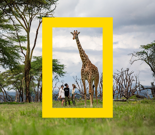 GA-24-12-241-GL- Nat Geo Always On - Email Headers_536x467_02.jpg