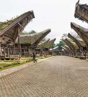 GA-25-01-003-GL- Destination highlight: Indonesia - Email Images_3.jpg