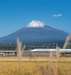 GA-25-02-037-GL- Rail Collection_Trip-Tile-4_Japan.png