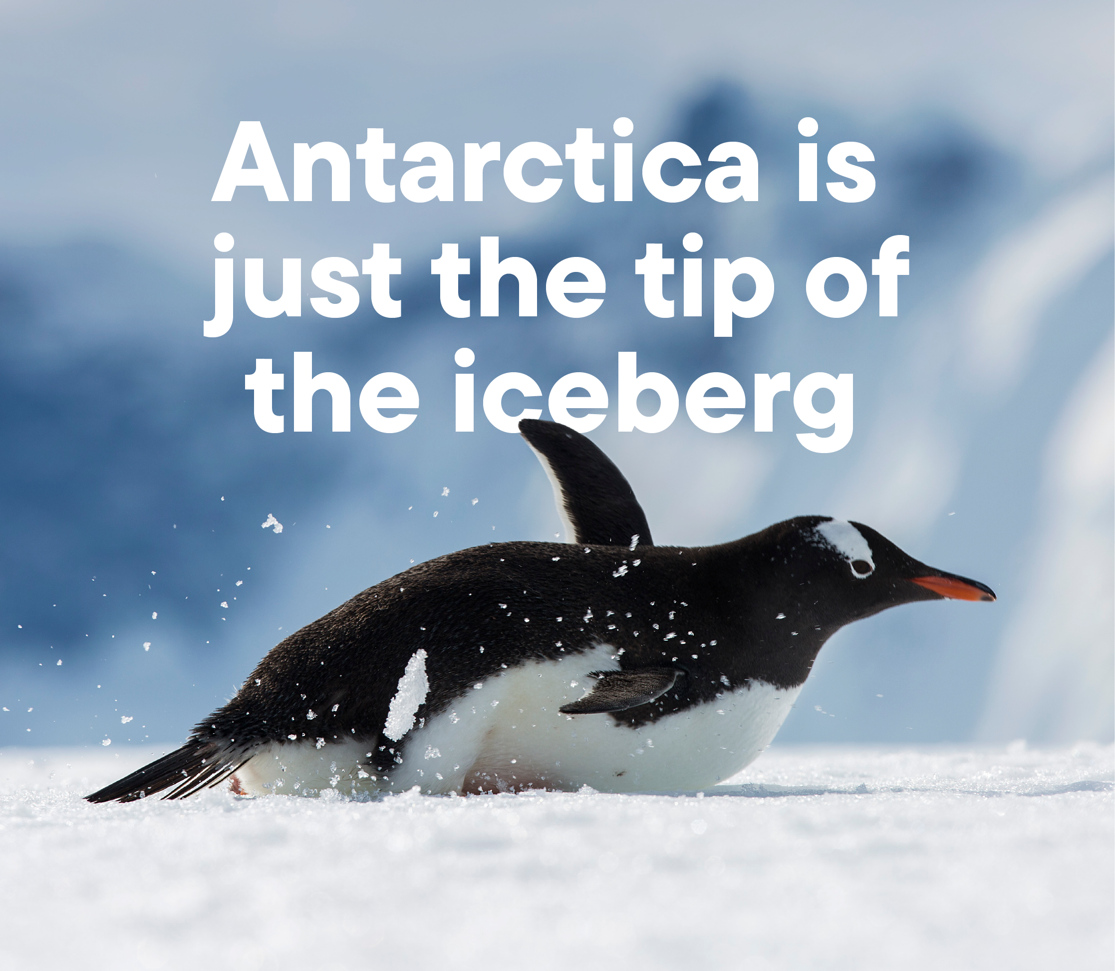 https://www.gadventures.com/destinations/antarctica-tours/?utm_source=Consumer_Promo&utm_medium=email&utm_campaign=gl-eal-2506-1111-aw&guuid=001OJ000007WHph&mkto_pgm_id=16736&huid=e382302567faa87c7348c50eaf09917bc21cafe6b88de2a095293508eb4e797d