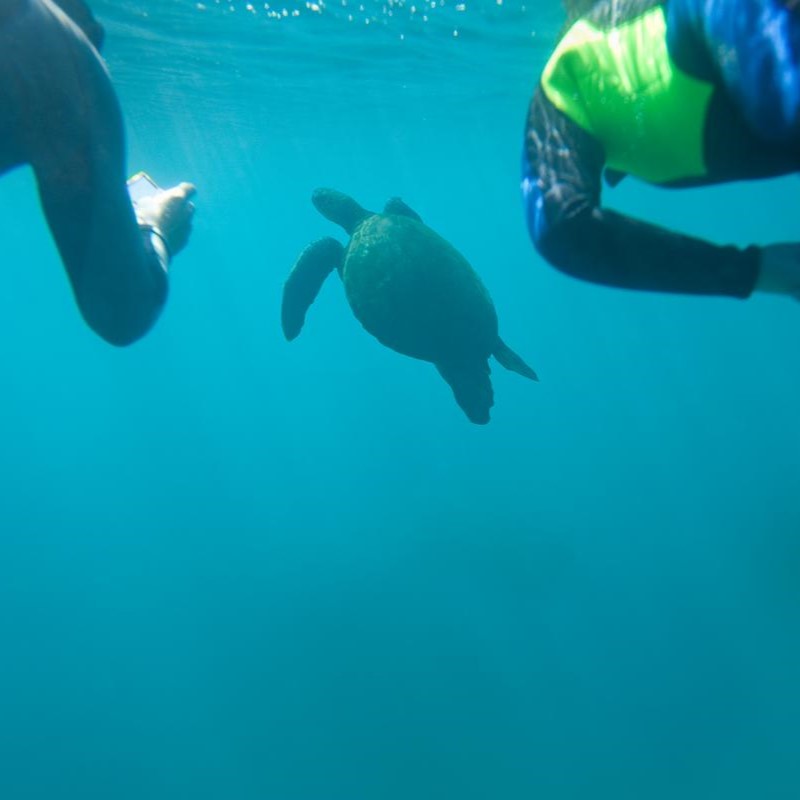 Galápagos Multisport