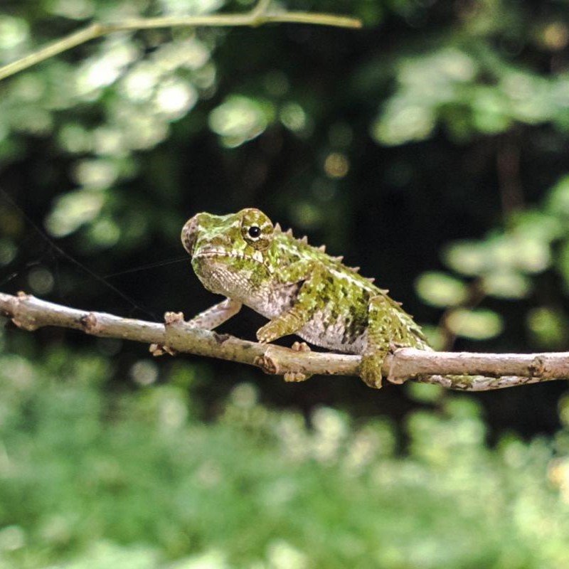 Die Highlights von Madagaskar