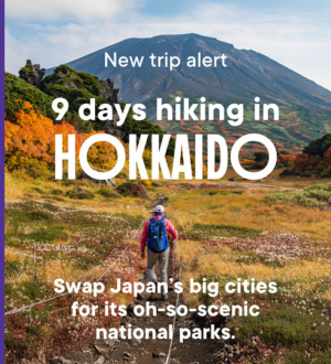 Hokkaido-IG-NL-feature.png?version=0