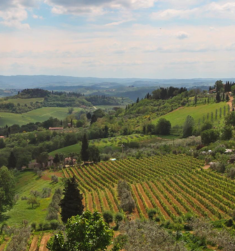 Italy-235x251.png