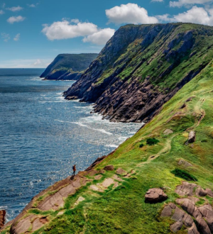 Newfoundland-300x330.png