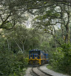 Peru-Train-1.png