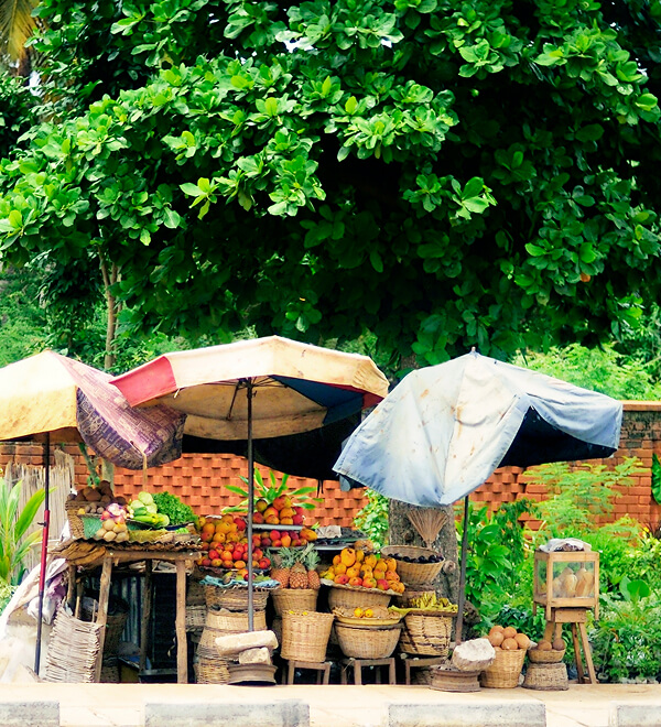 Togo and Benin: Local Markets, Koutammakou and Voodoo Traditions