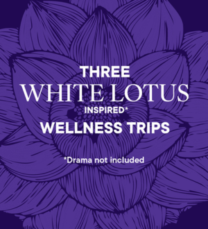 White-Lotus