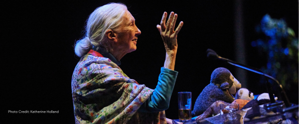 Jane Goodall.
