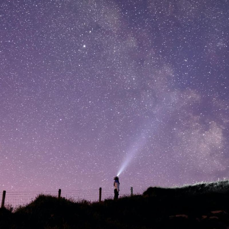 Travel Horoscope.