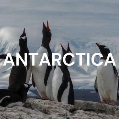 Antarctica.